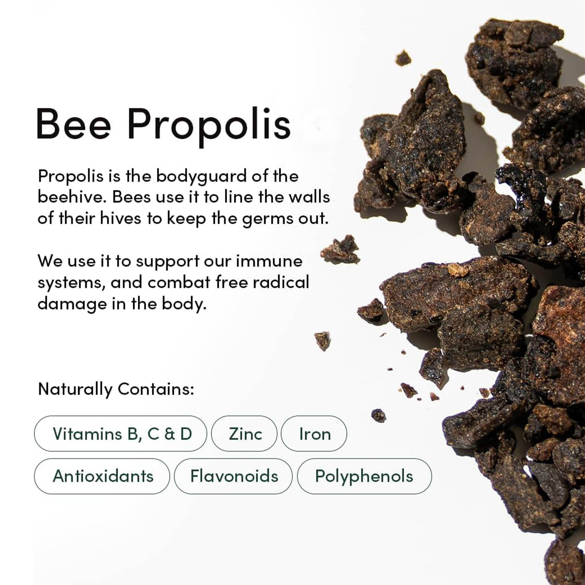 Beekeeper's Naturals Propolis Nasal Spray, 1 fl oz., , large