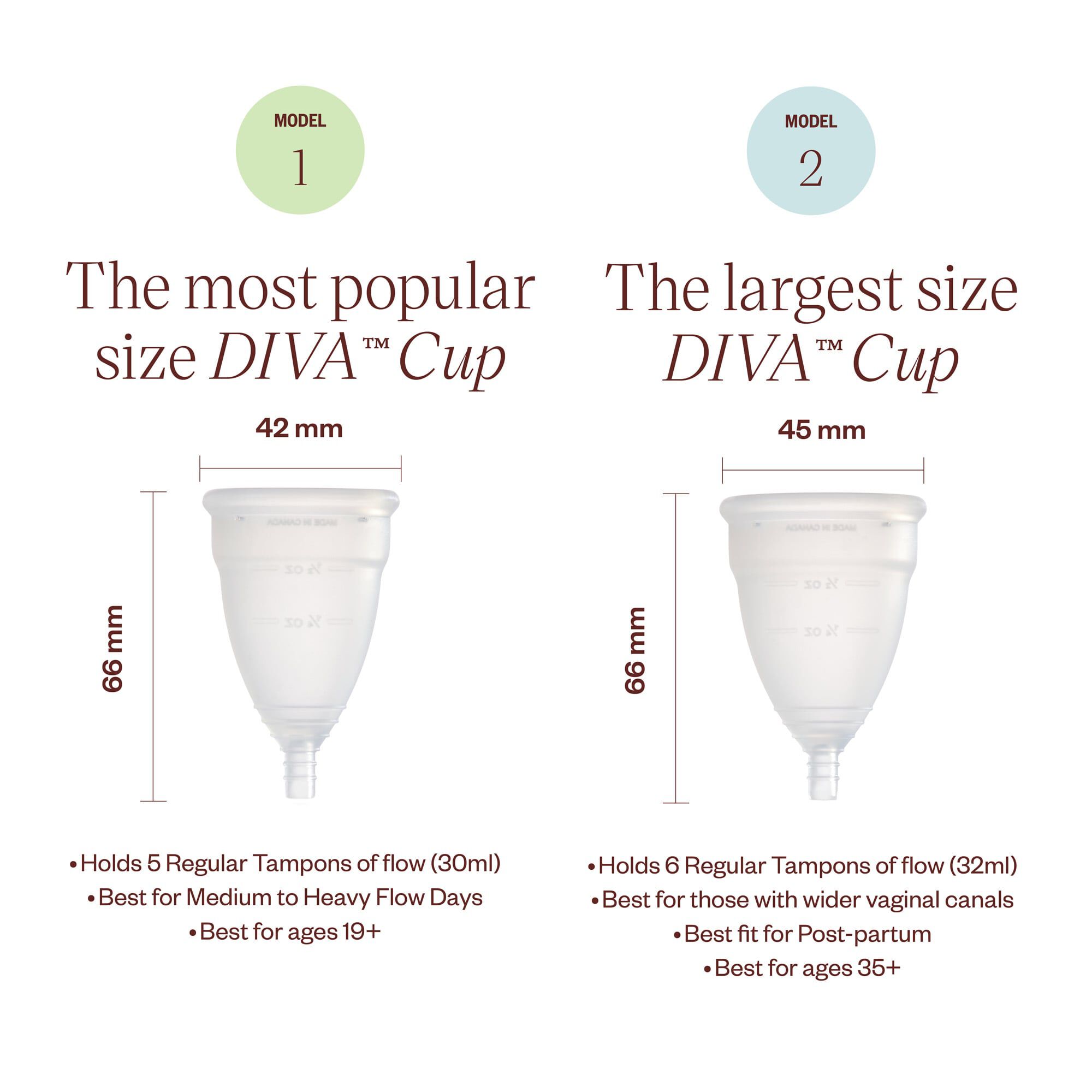 DIVA™ Cup Model 2, , large